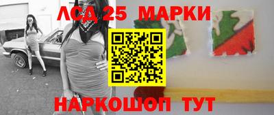 молекула духа Будённовск