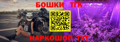 молекула духа Будённовск