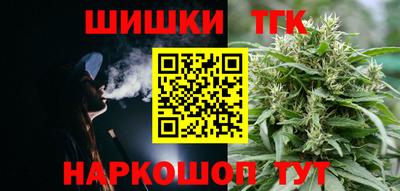 молекула духа Будённовск