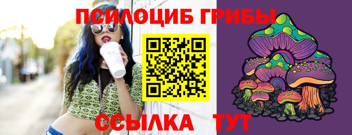 Галлюциногенные грибы Psilocybine cubensis Самара